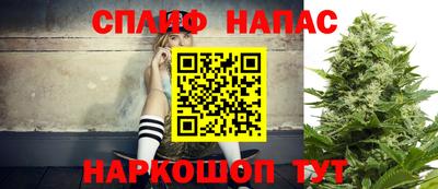 сатива Бийск