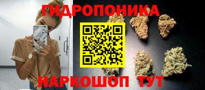прущие крисы Свободный