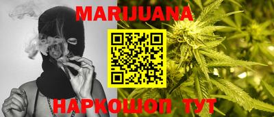 сатива Бийск