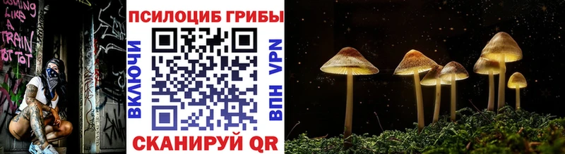 Псилоцибиновые грибы мухоморы  Темрюк 