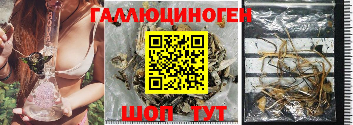 Галлюциногенные грибы Magic Shrooms Темрюк