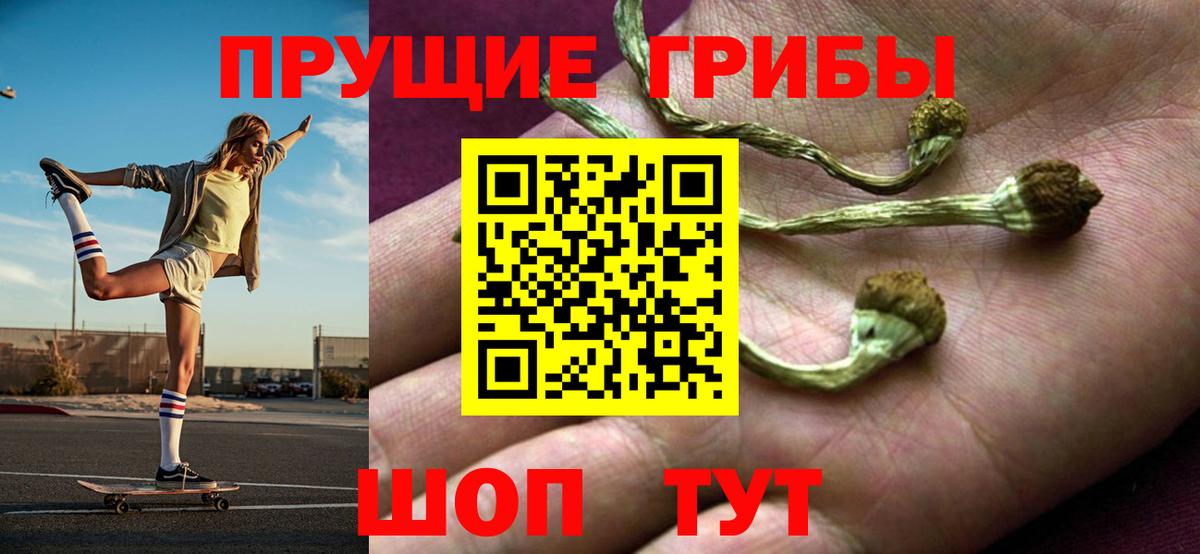 Псилоцибиновые грибы мицелий  Вход с VPN  Темрюк  Псилоцибиновые грибы мицелий 