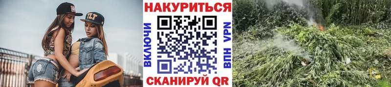 где найти наркотики  Темрюк  Конопля конопля 